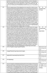 Figure BDA0003877999510001791