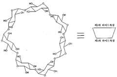 Figure 112013023015302-pat00010