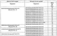 Figure imgf000021_0001