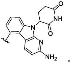 Figure BDA0003783300830001051