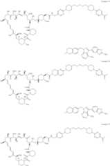 Figure US11364300-20220621-C00251