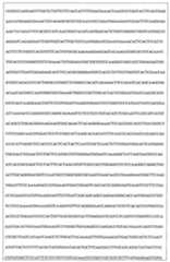 Figure 108128641-A0202-12-0147-881