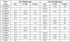 Figure imgf000522_0001