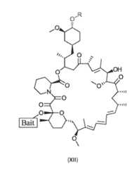 Figure imgf000075_0001
