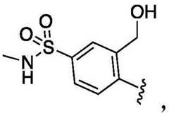 Figure FDA0002935257540000143