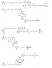 Figure imgf000036_0001