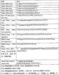 Figure GPA00001077157300851