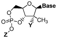 Figure imgf000003_0001