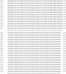 Figure GDA0002870045410001011