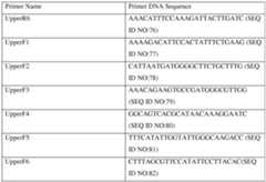 Figure imgf000151_0001