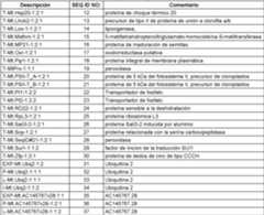 Figure imgf000011_0001