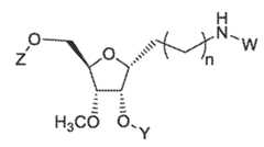 Figure imgf000025_0001