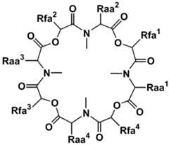 Figure imgf000003_0001
