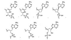 Figure 110128808-A0202-12-0060-339