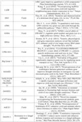 Figure PCTCN2022090268-appb-000090