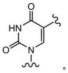 Figure BDA0003670511740001825