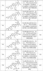 Figure GPA0000263212130002501