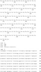 Figure IDA0003176636410000101