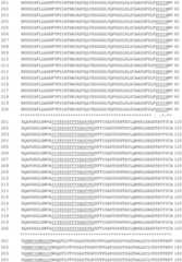 Figure GDA0002870045410001071