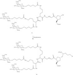 Figure US10683499-20200616-C00139