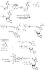 Figure BDA0003670511740004811