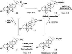 Figure imgf000025_0001