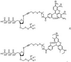 Figure BDA0003670511740002891