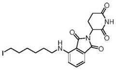 Figure GDA0003276334280001311