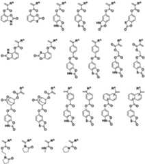 Figure 0007468295000041