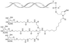 Figure imgf000093_0001