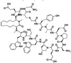 Figure imgf000126_0001