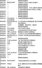 Figure BDA0000057170160001321