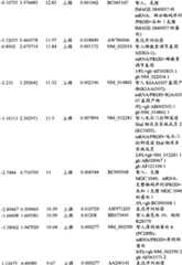 Figure BPA00001280678301461