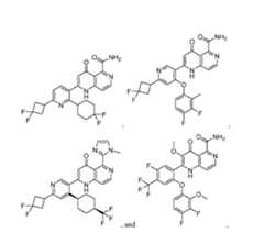 Figure imgf000480_0001