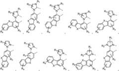 Figure FDA0001964607630000021