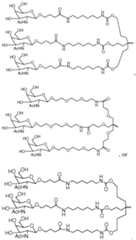 Figure imgf000060_0001