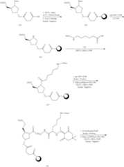 Figure US10683499-20200616-C00191