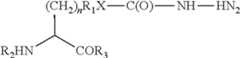 Figure US09074010-20150707-C00045