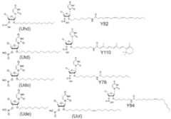 Figure imgf000244_0001
