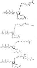 Figure BDA0003670511740003221