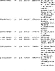 Figure BPA00001280678302061