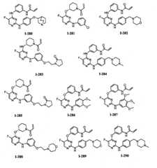 Figure FPA00001280125500491