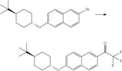 Figure US10166250-20190101-C00244