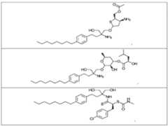 Figure imgf000079_0002
