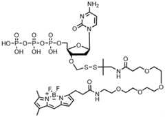 Figure imgf000234_0002