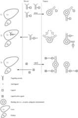 Figure US06217869-20010417-C00001