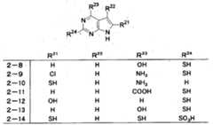 Figure 112008020816324-pct00019