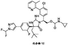 Figure BDA0002446516750001421