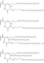 Figure US07405198-20080729-C00004