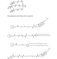 Figure imgf000018_0001